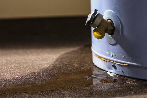 Best Fire Damage Restoration  in St James, MD
