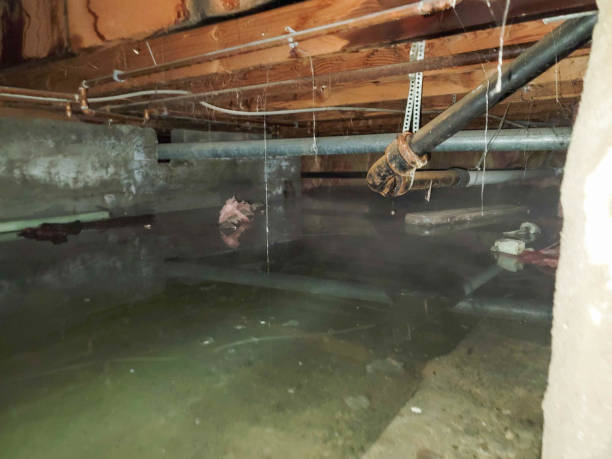 Best 24/7 water damage repair  in St James, MD