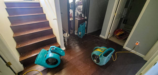 Best Ceiling water damage repair  in St James, MD