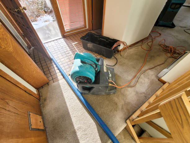 Reliable St James, MD Water damage restoration Solutions