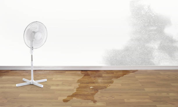 Best Fire Damage Restoration  in St James, MD