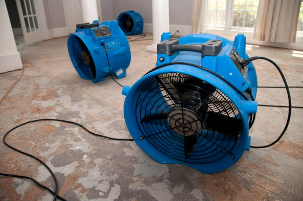 Professional Water damage restoration in St James, MD