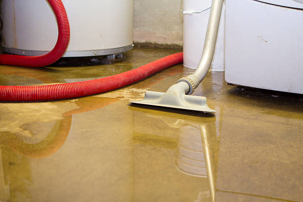 Best Water damage contractors near me  in St James, MD