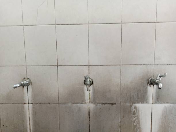 Best Professional water damage repair  in St James, MD