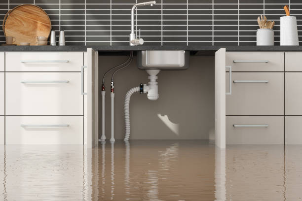 Best Commercial water damage restoration  in St James, MD