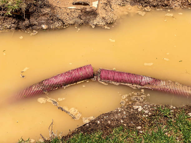 Best Water damage restoration near me  in St James, MD