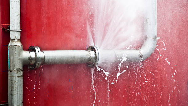 Best Basement water damage restoration  in St James, MD