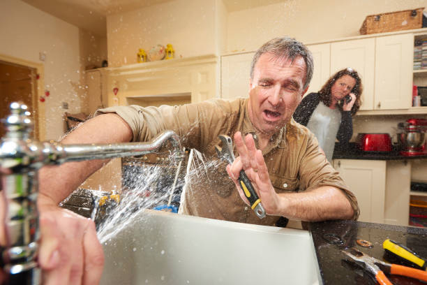 Best Water damage restoration specialists  in St James, MD